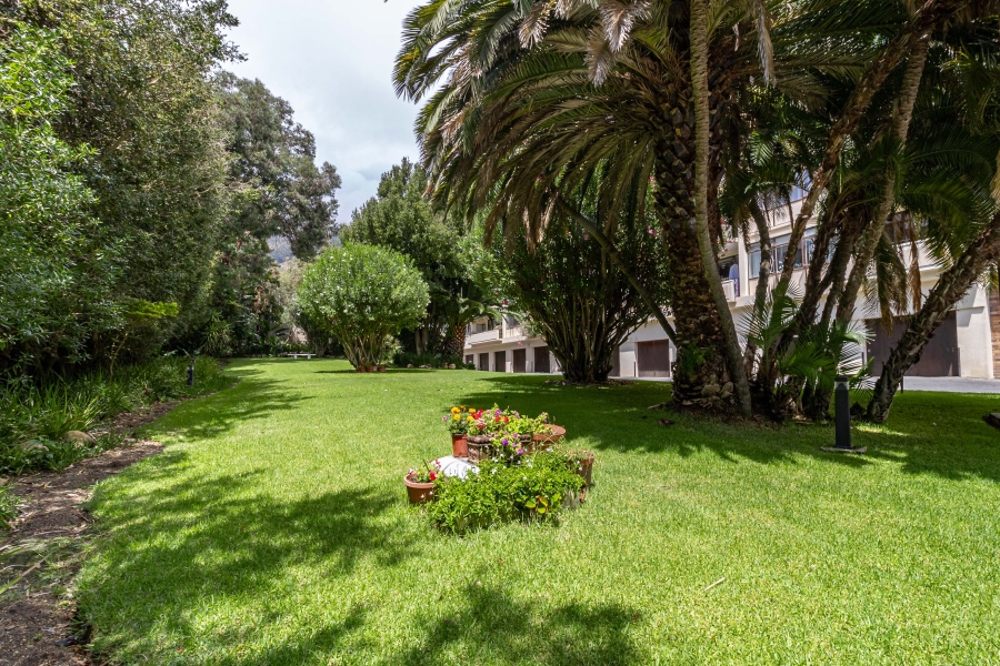 To Let 0 Bedroom Property for Rent in Sea Point Western Cape